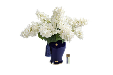 Indigo & Ivory Hydrangeas - INDH01 (Carton of 1)